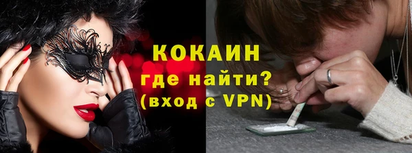 индика Володарск