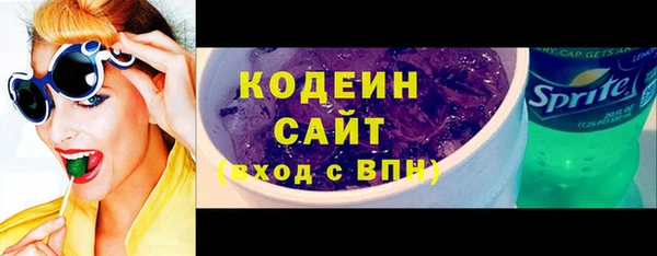 индика Володарск