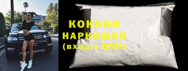 индика Володарск