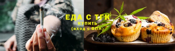 индика Володарск