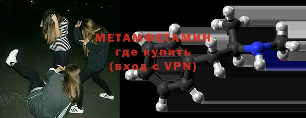 индика Володарск