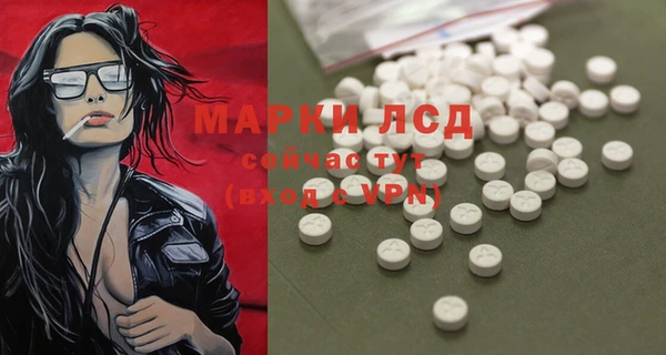 индика Володарск