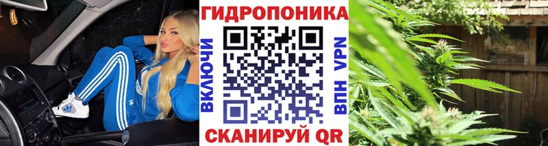 Бошки Шишки Bruce Banner как найти Липки